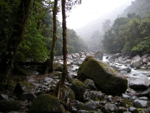 Parque Nacional Tapantí-Macizo la Muerte