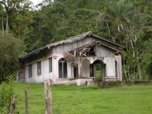 abandoned house