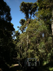 dscn0466